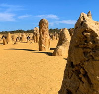 Pinnacles Desert Private Day Tour - QLD Tourism