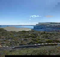 Penguin Island And Fremantle - Canoe Chocolate  Coffee - QLD Tourism