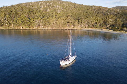 Twilight Sail Bruny Island - QLD Tourism 3