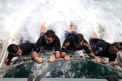 Cruise In Moreton Bay Marine Park And Moreton Island - QLD Tourism 0