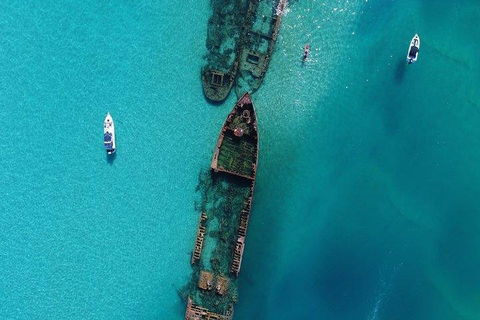 Cruise In Moreton Bay Marine Park And Moreton Island - QLD Tourism 1