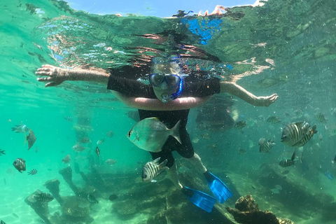 Cruise In Moreton Bay Marine Park And Moreton Island - QLD Tourism 5