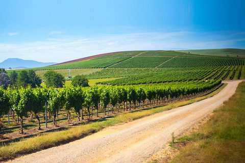 Full Day Tamar Valley Wine Tour - QLD Tourism 1