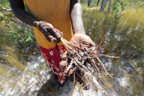Gay-Wu Woman's 5 Day Yolngu Homeland Tour - Queensland Tourism 0