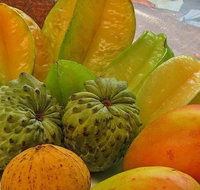 Private Half Day Tour Exclusive World Heritage Rainforest and Waterfall Tour from Cairns - QLD Tourism