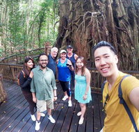 Cairns 4WD Waterfall and Rainforest Tour Including Kuranda Scenic Railway - QLD Tourism