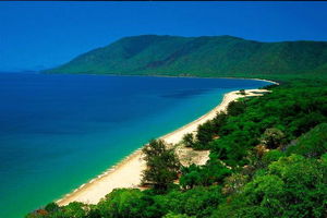 Cairns Reef and Rainforest Combo: Daintree Rainforest and the Great Barrier Reef