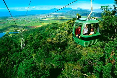 4-Day Cairns Ultimate Combo: Daintree Rainforest, Reef, Kuranda & Paronella Park - QLD Tourism 1