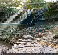 Paronella Park and Millaa Millaa Falls Full-day Tour from Cairns - QLD Tourism