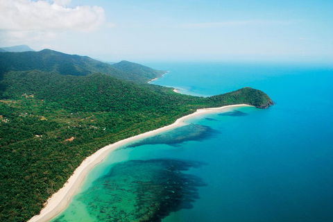 Cape Tribulation, Mossman Gorge, And Daintree Rainforest Premium Day Tour - QLD Tourism 2