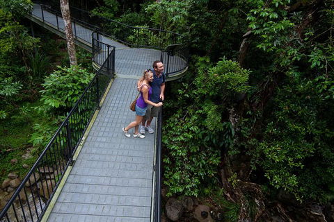Cape Tribulation, Mossman Gorge, And Daintree Rainforest Premium Day Tour - QLD Tourism 3