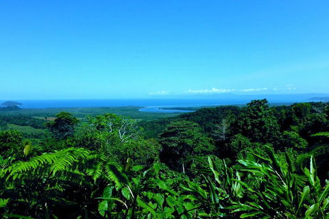 Cape Tribulation, Mossman Gorge, And Daintree Rainforest Premium Day Tour - QLD Tourism 5