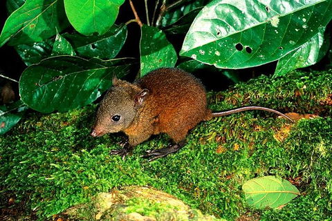 3-Day Small-Group Tour Of North Queensland With Pick Up - QLD Tourism 0