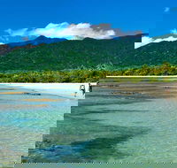 Private Daintree National Park Day Tour from Cairns Including Cape Tribulation and Mossman Gorge - QLD Tourism