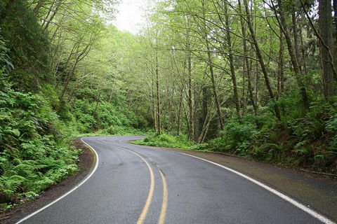 Cruise Ship Shore Excursion - Private Great Ocean Road Full Day Tour (12 Hour) - QLD Tourism 3