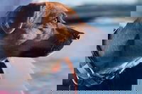 1.5-Hour Boat Rental in Melbourne