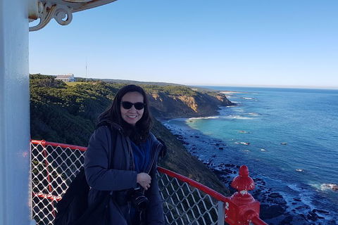 Great Ocean Road Full Day Private Experience - QLD Tourism 1