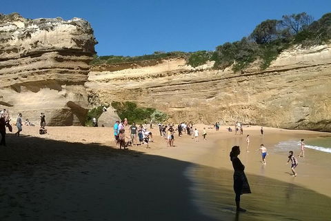 Great Ocean Road Full Day Private Experience - QLD Tourism 3