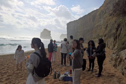 Great Ocean Road Full Day Private Experience - QLD Tourism 4