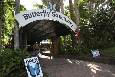 Kuranda Day Trip From Port Douglas Upgrade To Skyrail & Scenic Train Available - QLD Tourism 0