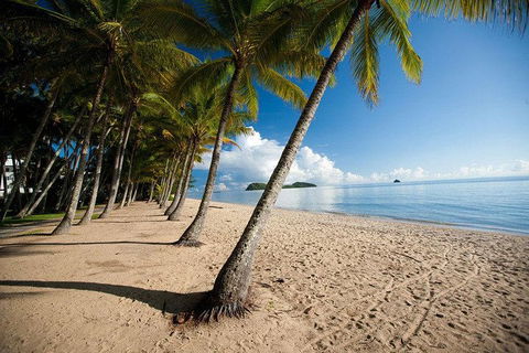 Kuranda Day Trip From Port Douglas Upgrade To Skyrail & Scenic Train Available - QLD Tourism 1