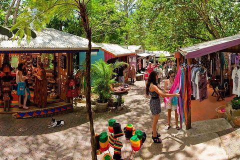 Kuranda Day Trip From Port Douglas Upgrade To Skyrail & Scenic Train Available - QLD Tourism 2