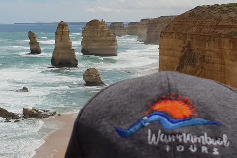 12 Apostles Tour From Warrnambool - QLD Tourism 4