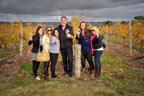 McLaren Vale Winery Small Group Tour With Wine Tasting And Lunch - QLD Tourism 3