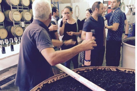 Luxury Private Mclaren Vale Wine Tour - QLD Tourism 4