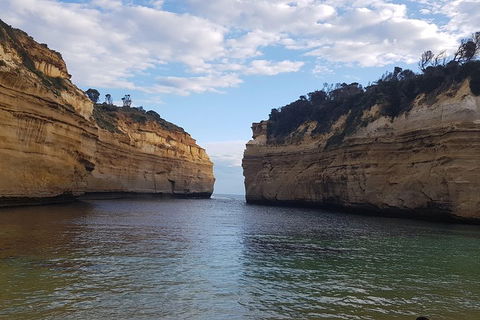 Luxury Private Great Ocean Road Tour Up To 11 People - Entire Vehicle - QLD Tourism 2