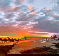 1 Hour Broome Sunset Camel Tour - Queensland Tourism