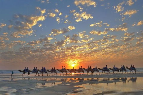 1 Hour Broome Sunset Camel Tour - Queensland Tourism 1