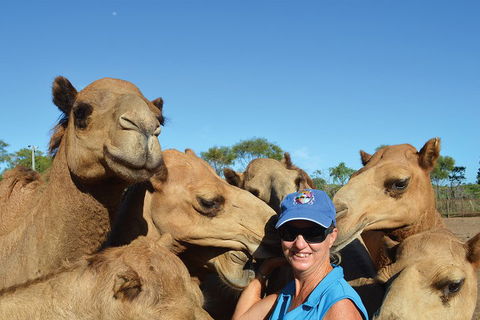 1 Hour Broome Sunset Camel Tour - Queensland Tourism 3
