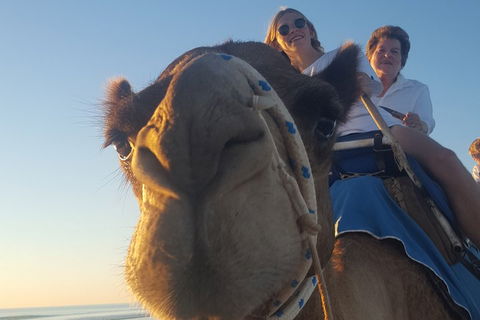 1 Hour Broome Sunset Camel Tour - Queensland Tourism 4