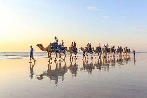 1 Hour Broome Sunset Camel Tour - Queensland Tourism 5