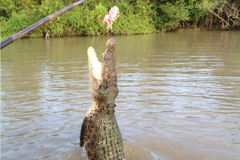 Litchfield National Park And Jumping Crocodile Cruise - QLD Tourism 2
