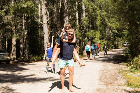 7-Day Best Of Tasmania Adventure Experience From Hobart (flexible Ticket) - QLD Tourism 5