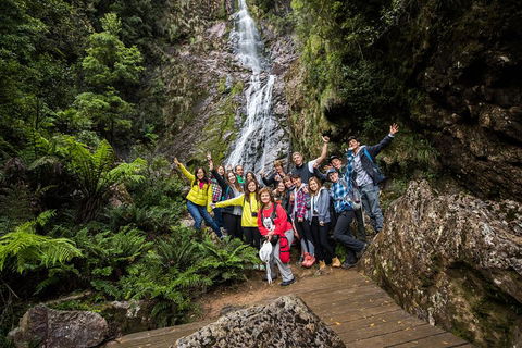 5-Day Lap Of Tasmania Tour From Hobart (flexible Ticket) - QLD Tourism 0