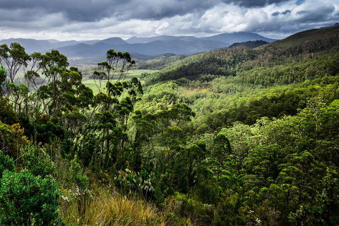 5-Day Lap Of Tasmania Tour From Hobart (flexible Ticket) - QLD Tourism 2
