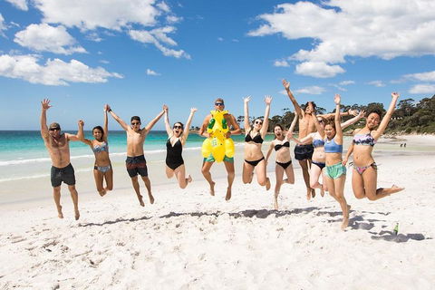 5-Day Lap Of Tasmania Tour From Hobart (flexible Ticket) - QLD Tourism 4