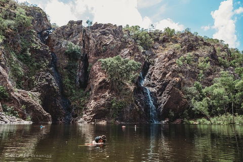 Litchfield National Park Day Tour From Darwin With Waterfalls And Buley Rockhole - QLD Tourism 1
