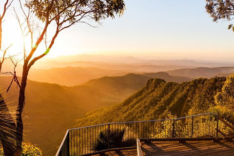 O'Reilly's & Lamington National Park Incl. Alpaca Farm + Vineyard - QLD Tourism 0