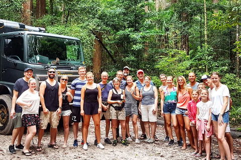 Fraser Island 4WD Tour From Noosa - QLD Tourism 3
