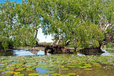 Ethical Adventures - Best In The WET - Litchfield / Kakadu 3 Day- Max 10 Guests - QLD Tourism 1