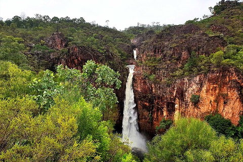 Ethical Adventures - Best In The WET - Litchfield / Kakadu 3 Day- Max 10 Guests - QLD Tourism 2