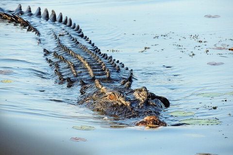 Ethical Adventures - Best In The WET - Litchfield / Kakadu 3 Day- Max 10 Guests - QLD Tourism 4