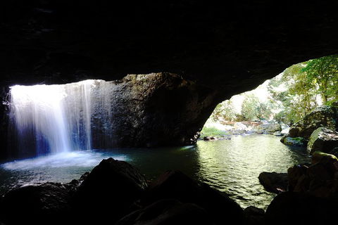 Rainforest & Waterfalls Extravaganza - QLD Tourism 0