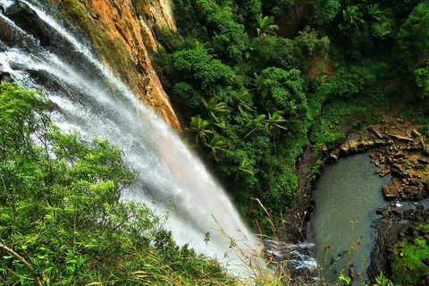 Rainforest & Waterfalls Extravaganza - QLD Tourism 1