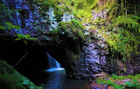 Rainforest & Waterfalls Extravaganza - QLD Tourism 5
