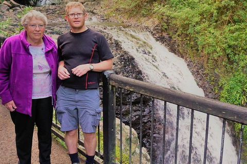 Natural Arch, Rainforest & Volcano Canyon - Private Half Day Tour - QLD Tourism 1